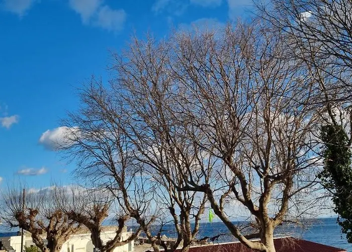 Sea Pearl * 아말피